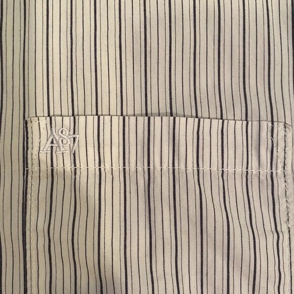 Aeropostale Long Sleeve Button Down Pinstripe Mens Shirt Size L - Picture 2 of 4